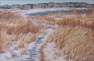 "Seapoint in January"